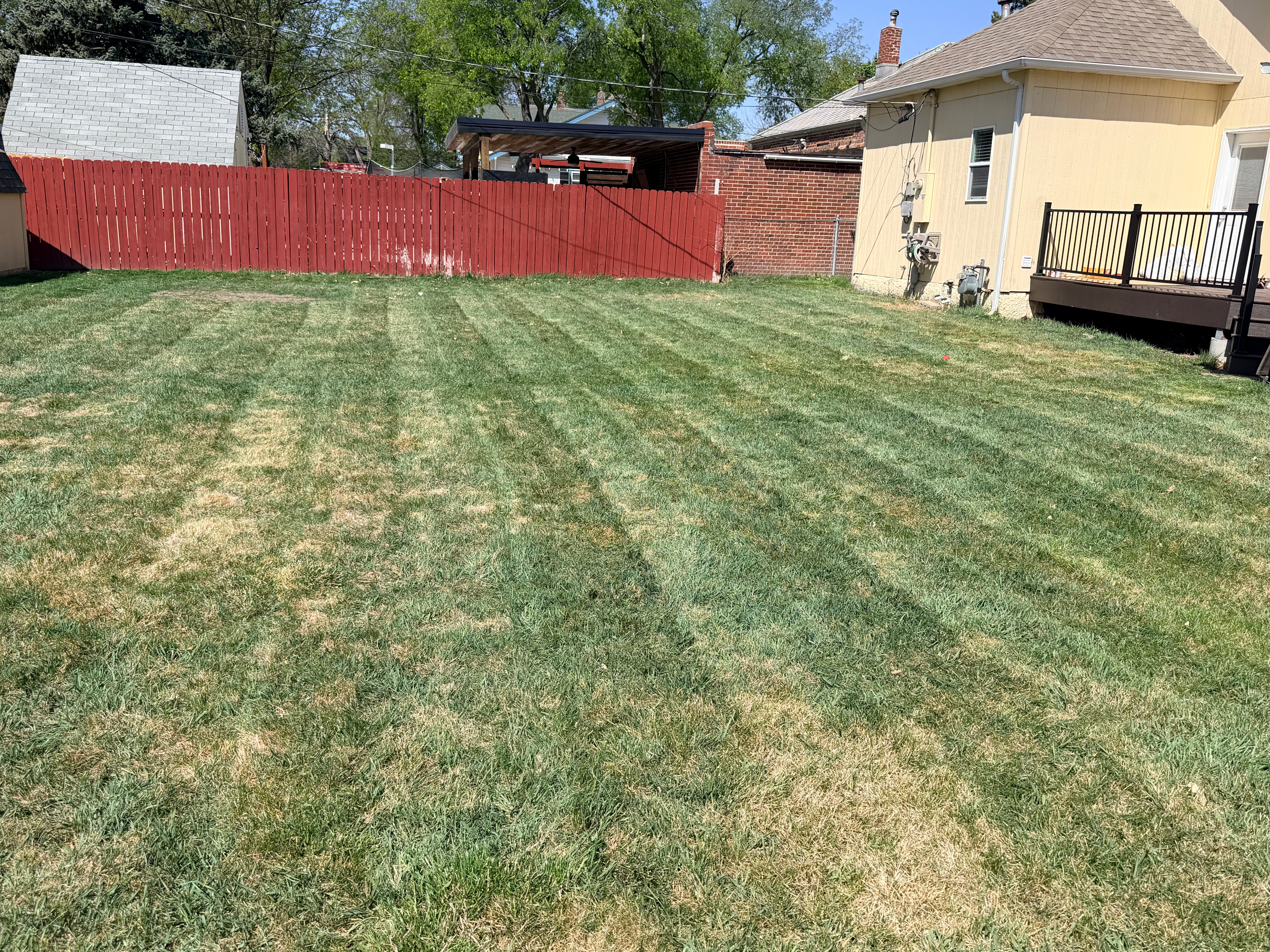Lawn mowing