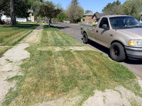 Lawn mowing